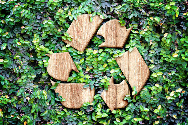 生态概念：绿叶墙上的木材纹理回收图标