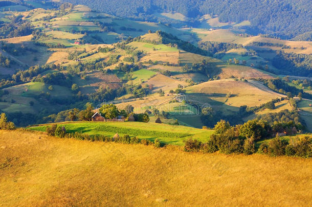 特兰西瓦尼亚美丽的山谷，有牧场和田野