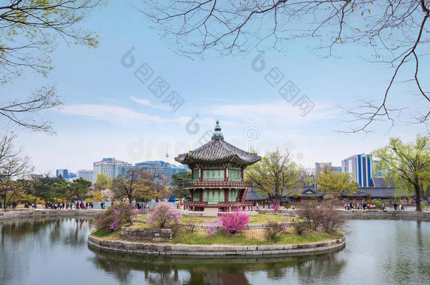春在首尔的京博贡宫