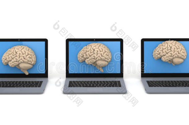 头脑风暴大脑的大脑计算机皮层
