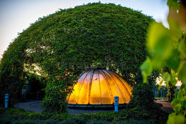 建筑学蓝色植物的建筑中心