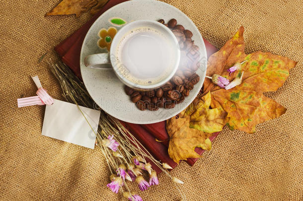 阿拉比卡咖啡芳香疗法秋天背景豆