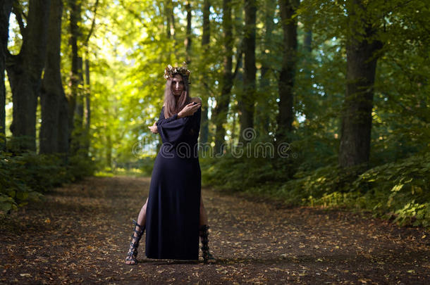 黑暗森林中的女巫