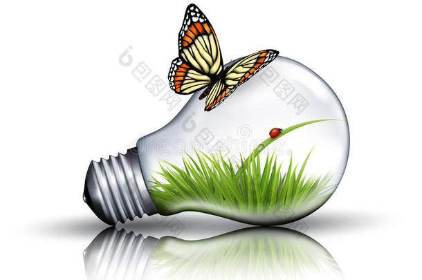生态灯泡有草，瓢虫和蝴蝶。