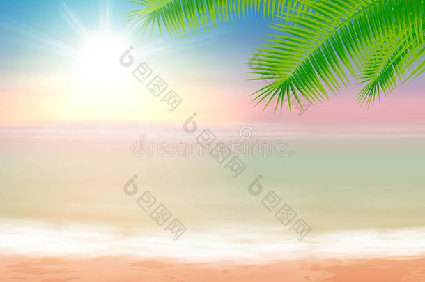海滩和热带海洋，有棕榈树叶