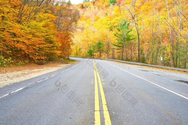 秋天的景象与道路