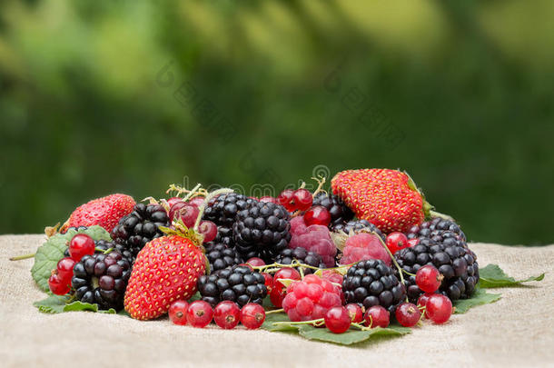 新鲜的黑莓，树莓，红醋栗和草莓在桌子上的树叶背景