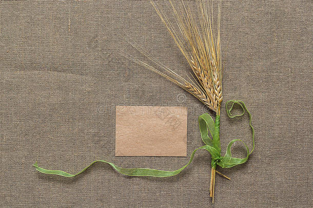 用绿色丝带绑着的空纸和小穗