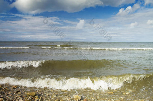 夏天的波罗的海。 美丽的风景