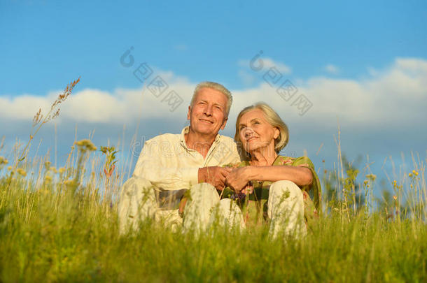 老年夫妇在夏天在大自然中