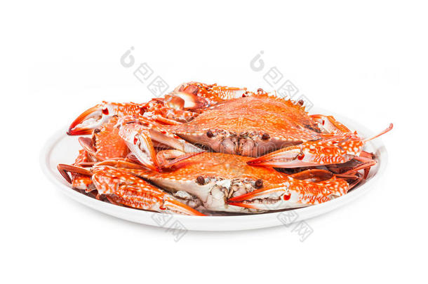 螃蟹<strong>蒸海鲜</strong>隔离在白色背景上