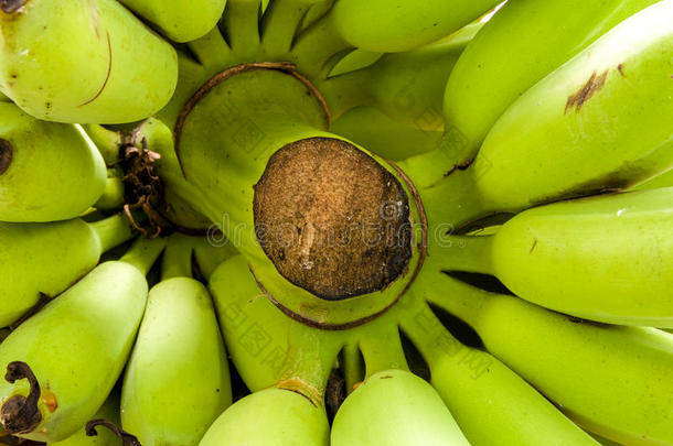 香蕉/香蕉特写/香蕉抽象背景