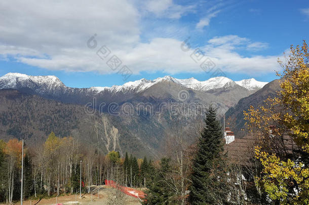 秋天在高加索山脉，雪在山峰上，黄树