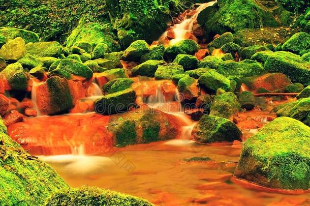 瀑布在矿泉水的急流中。 蕨类植物之间大苔藓巨石上的红色铁沉积物。