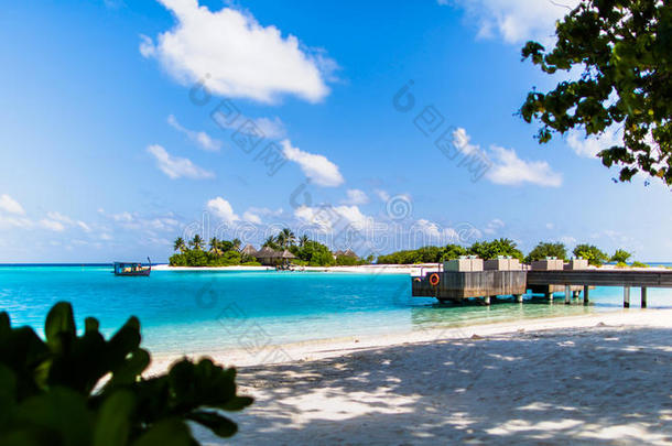 海滩景观在四季度假胜地马尔代夫在库达胡拉