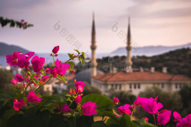 布加维利亚和清真寺，卡斯，土耳其