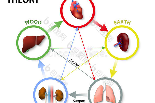 阴阳<strong>五行</strong>，<strong>五行</strong>学说;