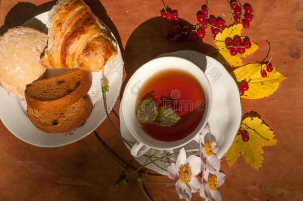 一杯凉茶，一盘新鲜的糕点，黄色的秋叶，成熟的红醋栗和木制表面的花园花