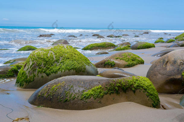 加利福尼亚海岸一条带苔藓覆盖岩石的海景