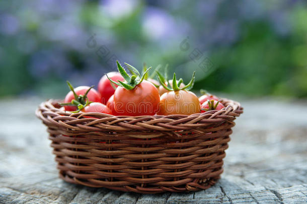 樱桃番茄放在一个小篮子里，放在一个旧木头表面上