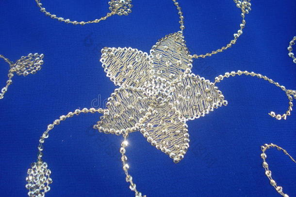 蓝色纱丽上的花卉刺绣与金丝线和顺序装饰