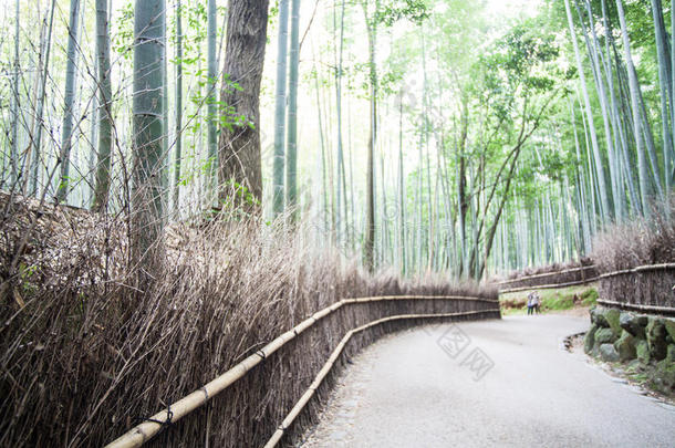 秋天在日本京都的阿拉山