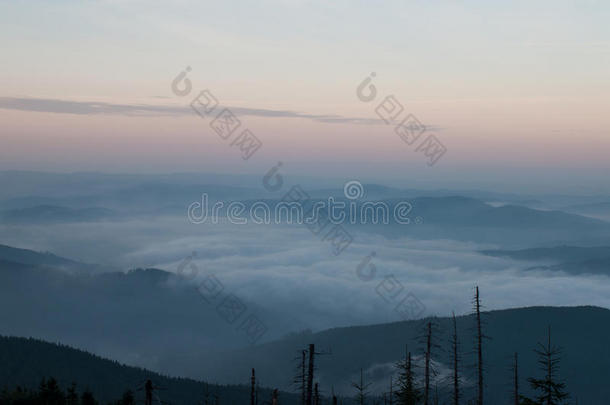 日出前山里的雾
