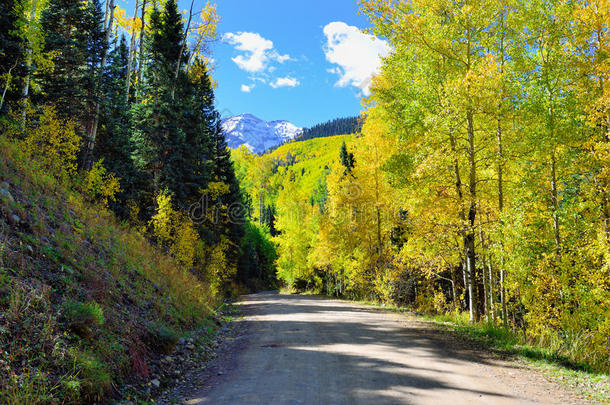县乡村道路通过科罗拉多州的高山风光在叶季