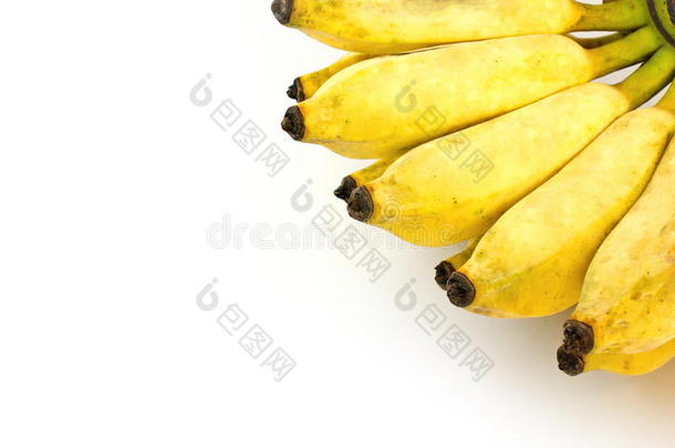 在白色背景下种植香蕉