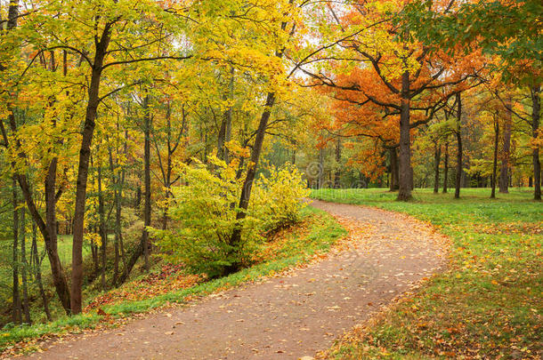 秋天的风景。 秋天的公园。 金色的秋天。