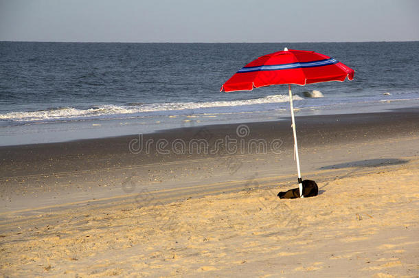 单独地大西洋雨篷海滩蓝色