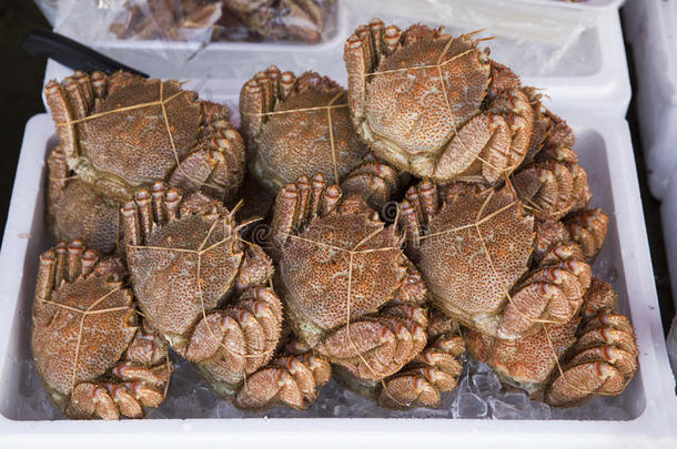 螃蟹准备在日本北海道市场销售