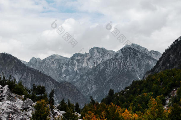 阿尔巴尼亚高山山脉北部阿尔卑斯山热带瓦尔博纳山谷