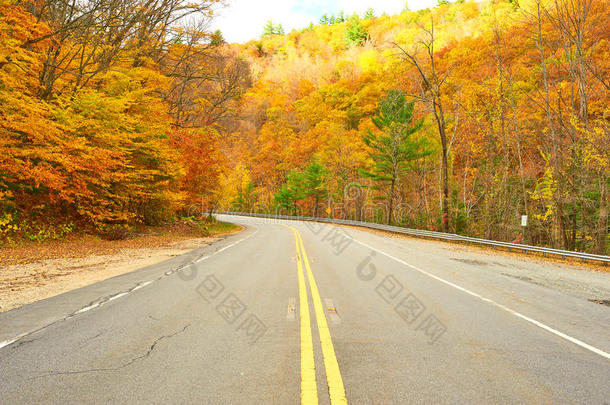 秋天的景象与道路