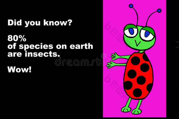 地球上80%的物种是昆虫
