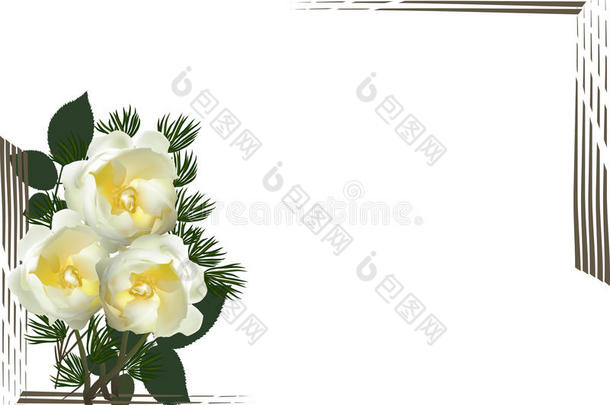 三朵淡黄色玫瑰的构图