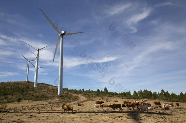 现代风车农场上的Eolic风力涡轮机用于替代能源发电