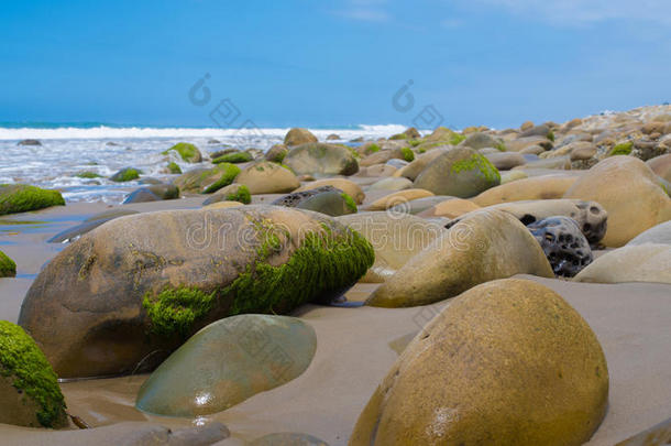 加利福尼亚海岸一条带苔藓覆盖岩石的海景
