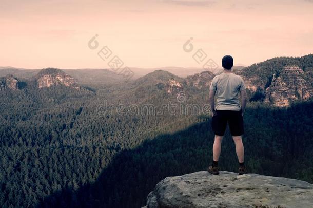 穿着灰色衬衫和深色裤子的成年徒步旅行者。 高大的人在砂岩悬崖的山顶上注视着下到森林山谷