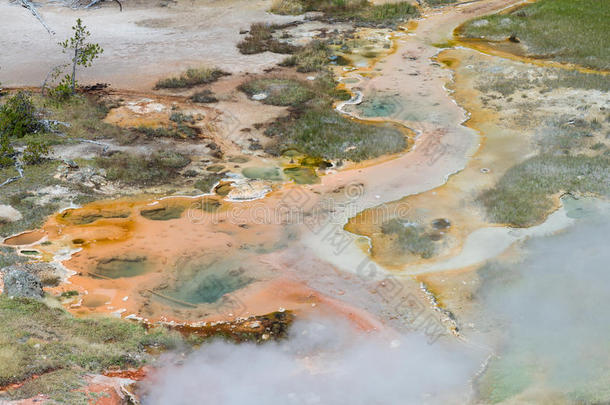 细菌垫在喷泉油漆锅，<strong>黄石国家公园</strong>