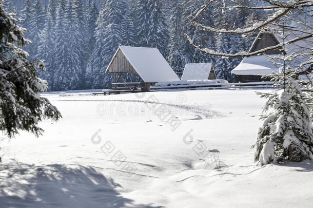 冬季降雪山地景观