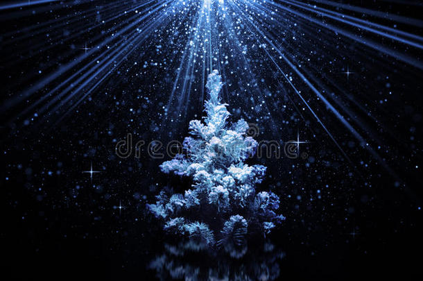 蓝色光束中的圣诞树