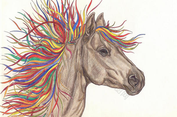 漂亮的马，有鲜艳的彩色鬃毛。用铅笔画。特写