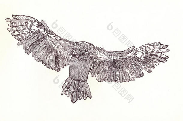 图形猫头鹰画笔手柄与美丽的翅膀在飞行