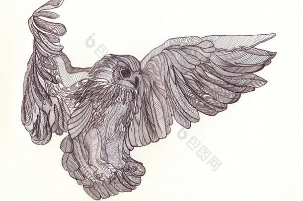 图形猫头鹰画笔手柄与美丽的翅膀在飞行