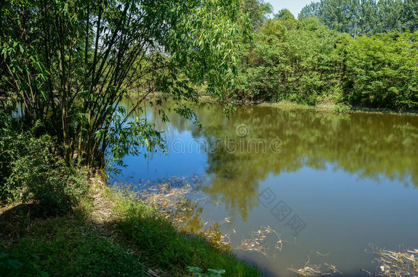 竹子湖湖边自然河