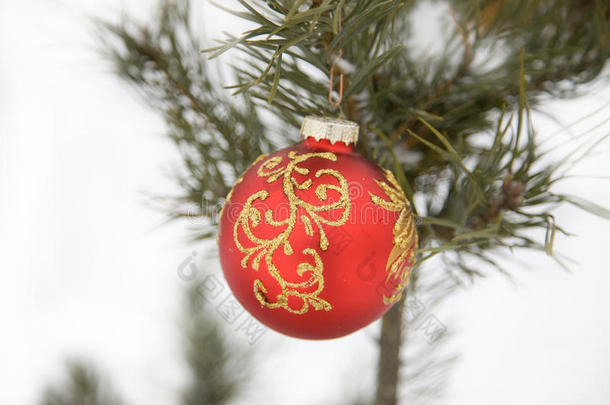 圣诞<strong>红球</strong>，冷杉树枝