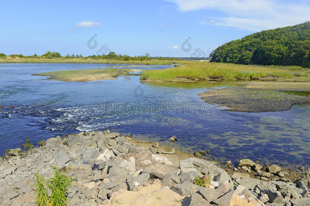 河口过渡区，淡水与<strong>盐水</strong>相遇