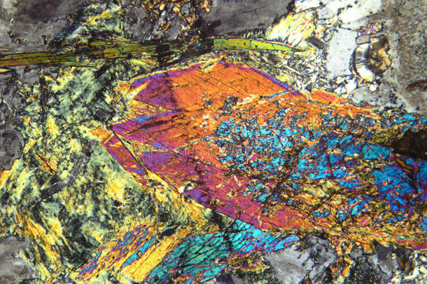 绿泥石彩色的地质学显微镜显微镜检查