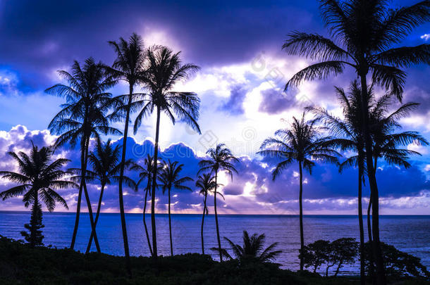 海滩蓝色<strong>椰子夏威夷</strong>马卡普